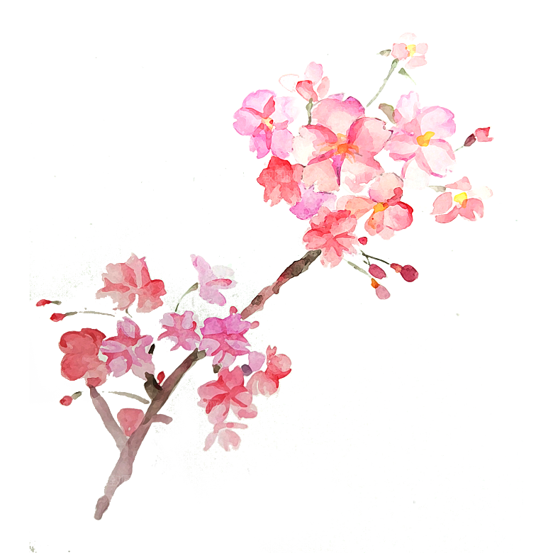 手绘粉红色樱花桃花梅花花朵PNG免抠素材