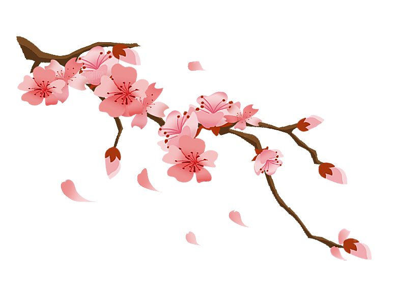 手绘粉红色樱花桃花梅花花朵PNG免抠