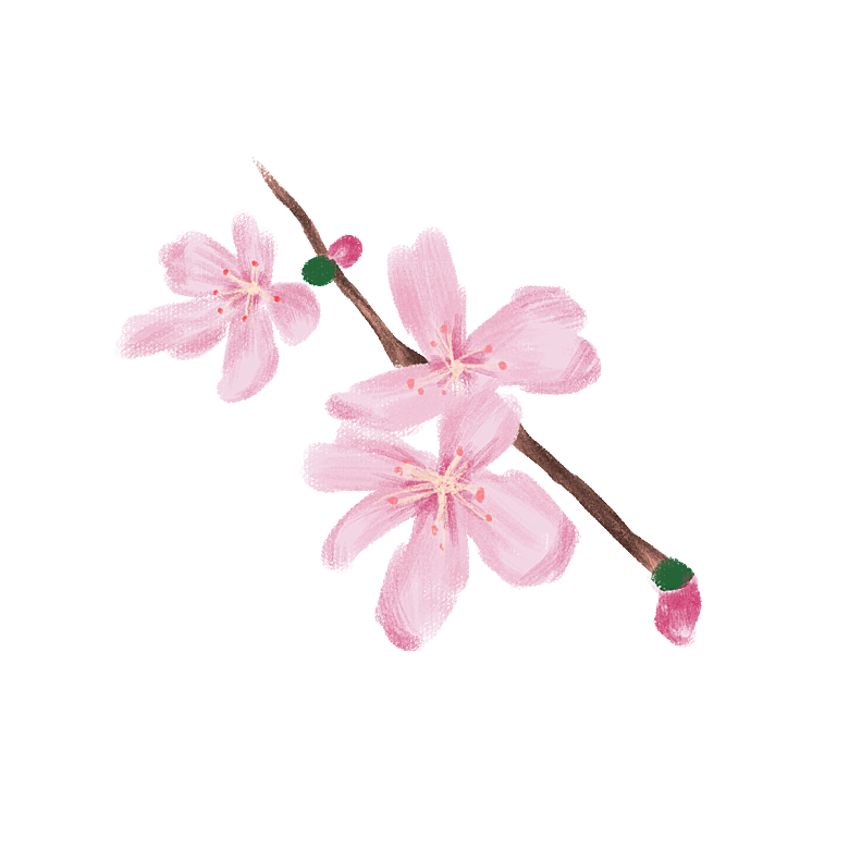 手绘粉红色樱花桃花梅花花朵PNG免抠