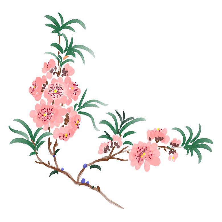 手绘粉红色樱花桃花梅花花朵PNG免抠