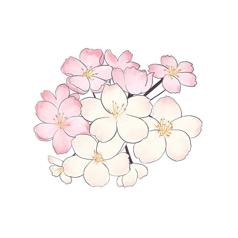 手绘粉红色樱花桃花梅花花朵PNG免抠