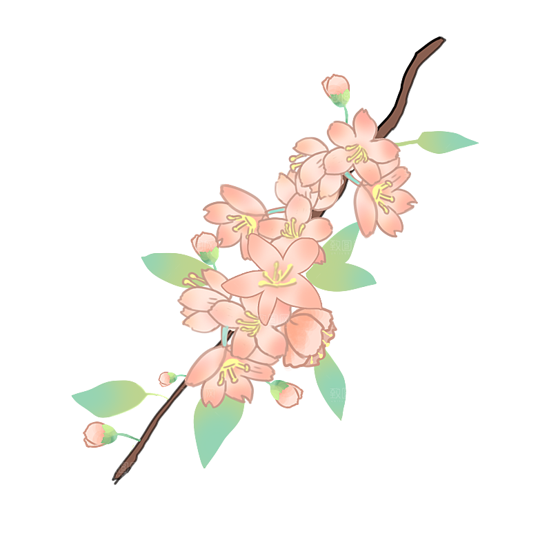 手绘粉红色樱花桃花梅花花朵PNG免抠素材