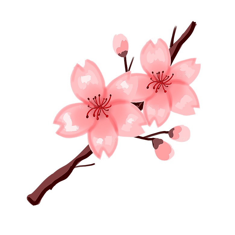 手绘粉红色樱花桃花梅花花朵PNG免抠素材