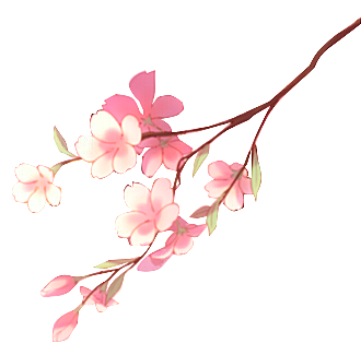 手绘粉红色樱花桃花梅花花朵PNG免抠素材