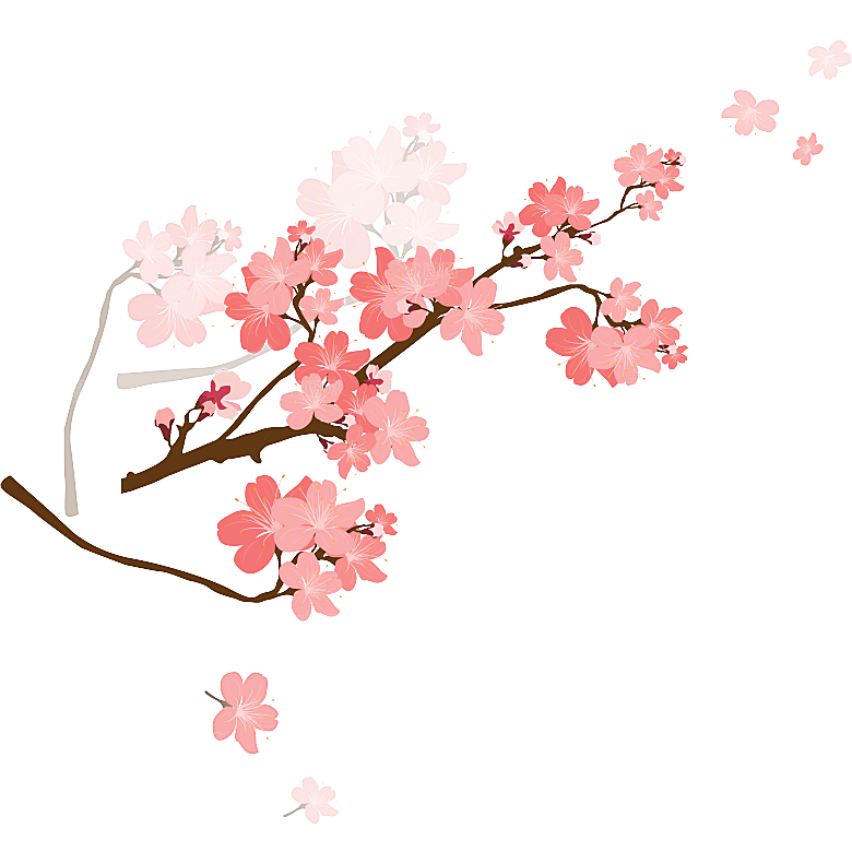 手绘粉红色樱花桃花梅花花朵PNG免抠素材