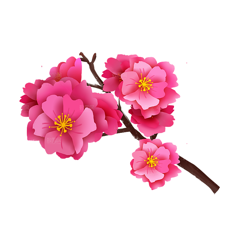 手绘粉红色樱花桃花梅花花朵PNG免抠素材
