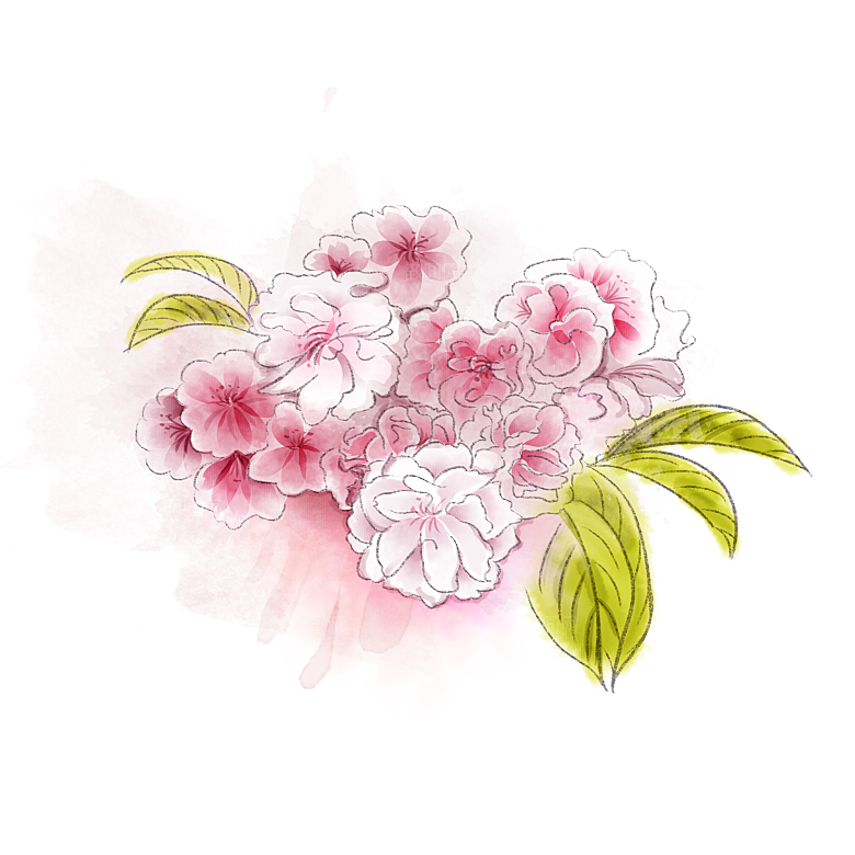 手绘粉红色樱花桃花梅花花朵PNG免抠