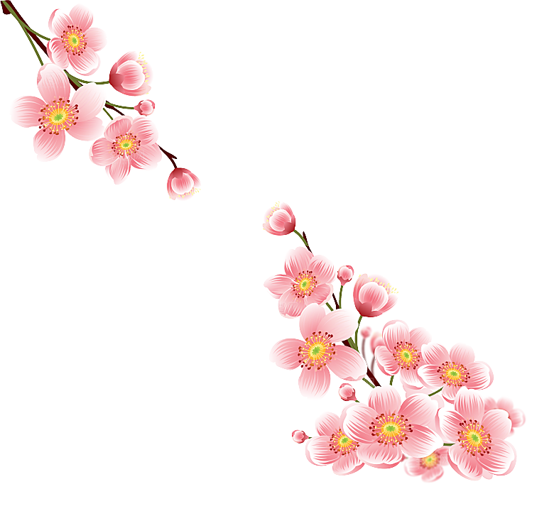 手绘粉红色樱花桃花梅花花朵PNG免抠