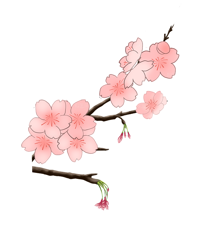 手绘粉红色樱花桃花梅花花朵PNG免抠