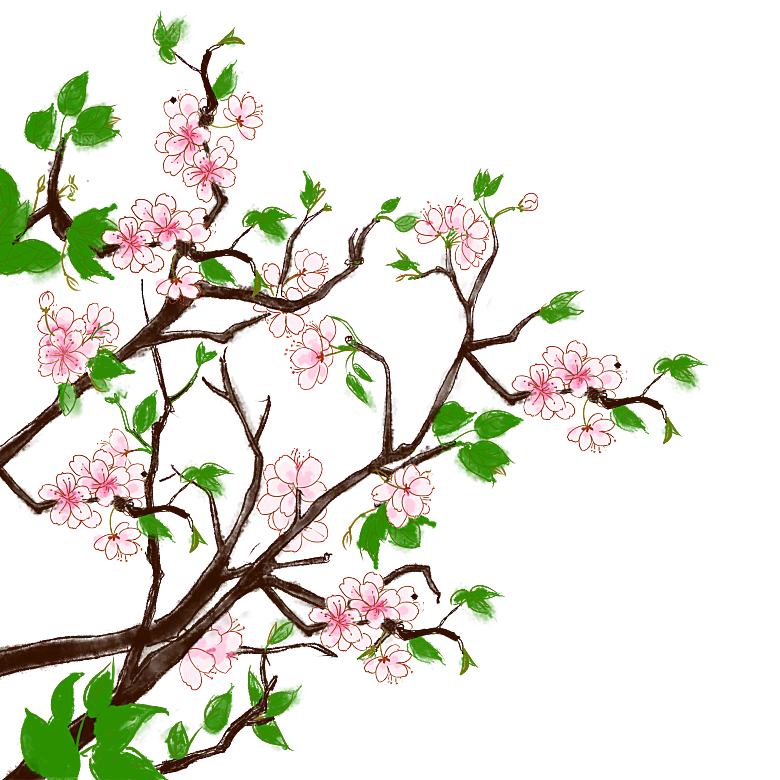 手绘粉红色樱花桃花梅花花朵PNG免抠
