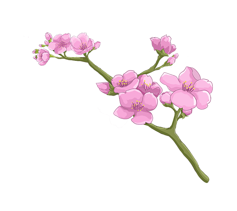 手绘粉红色樱花桃花梅花花朵PNG免抠素材
