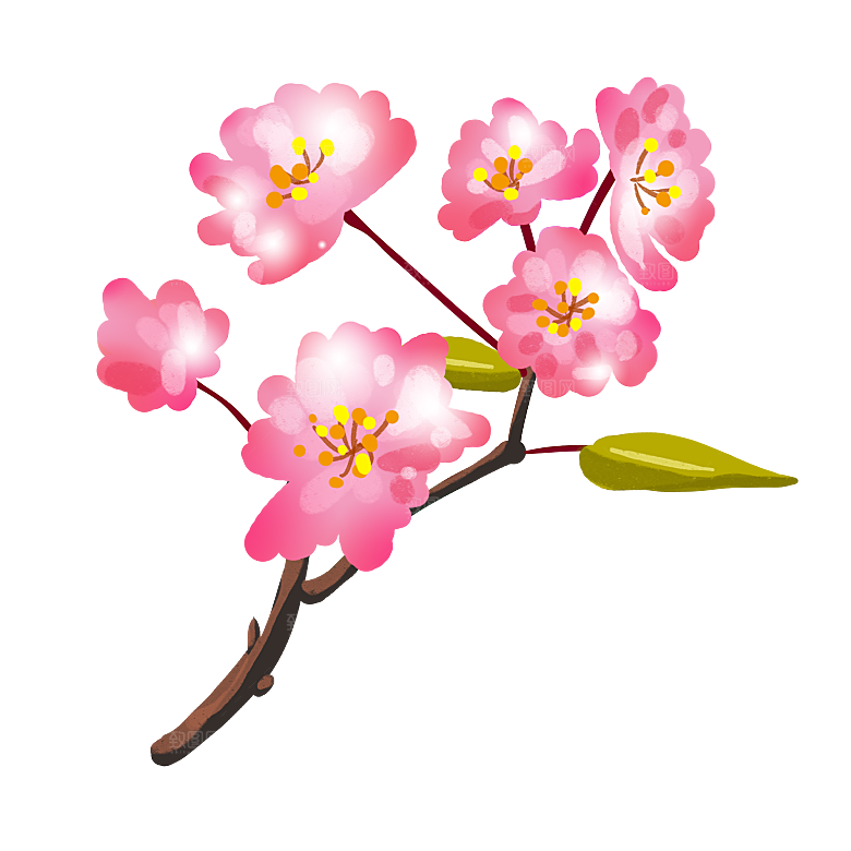 手绘粉红色樱花桃花梅花花朵PNG免抠素材