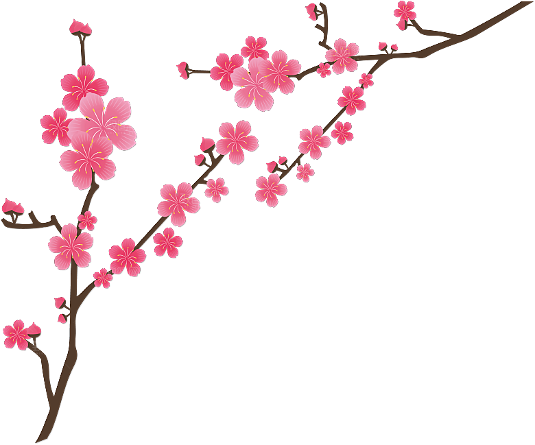 手绘粉红色樱花桃花梅花花朵PNG免抠素材