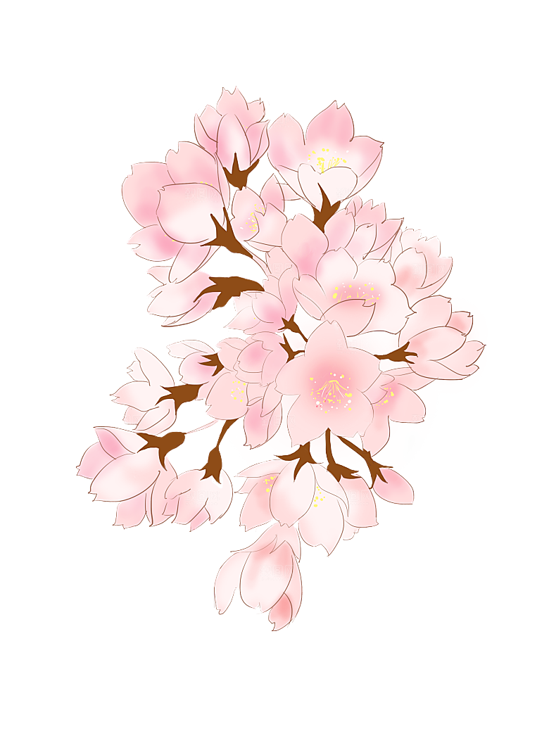 手绘粉红色樱花桃花梅花花朵PNG免抠素材