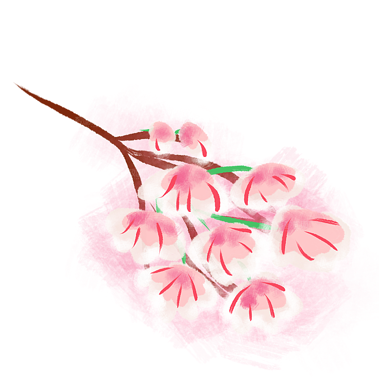 手绘粉红色樱花桃花梅花花朵PNG免抠素材