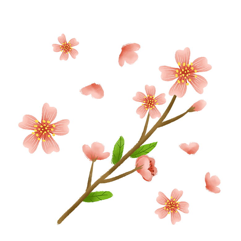 手绘粉红色樱花桃花梅花花朵PNG免抠素材