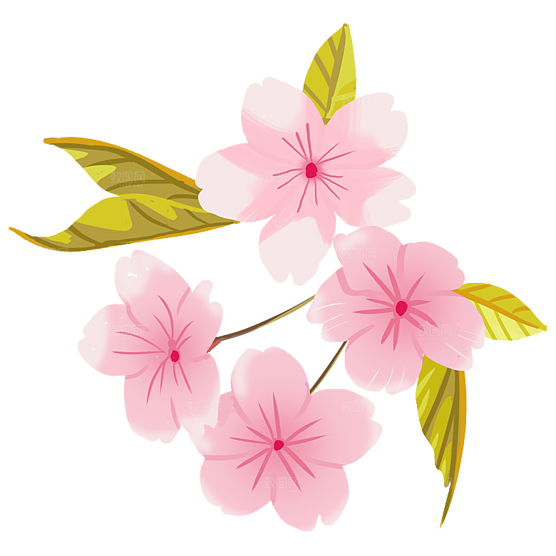 手绘粉红色樱花桃花梅花花朵PNG免抠素材