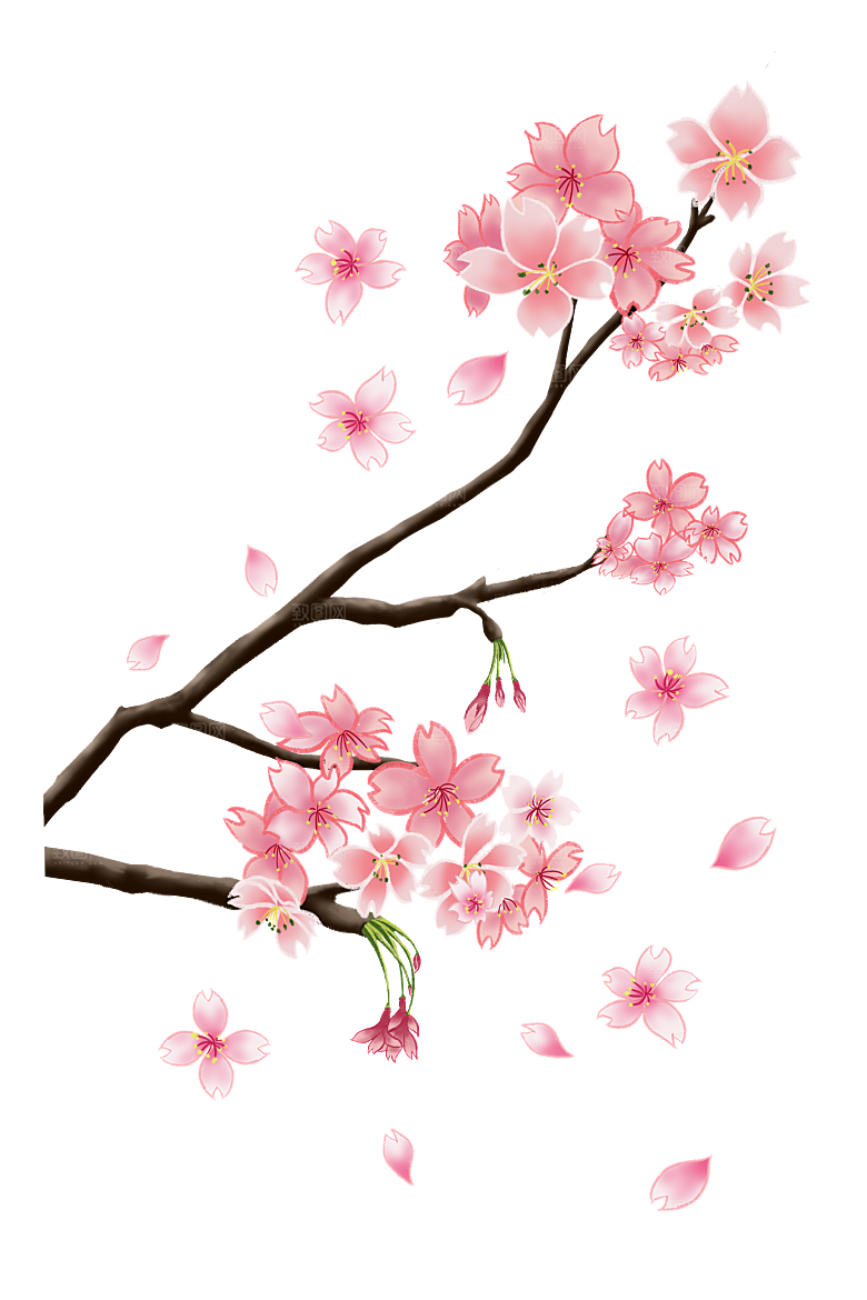 手绘粉红色樱花桃花梅花花朵PNG免抠