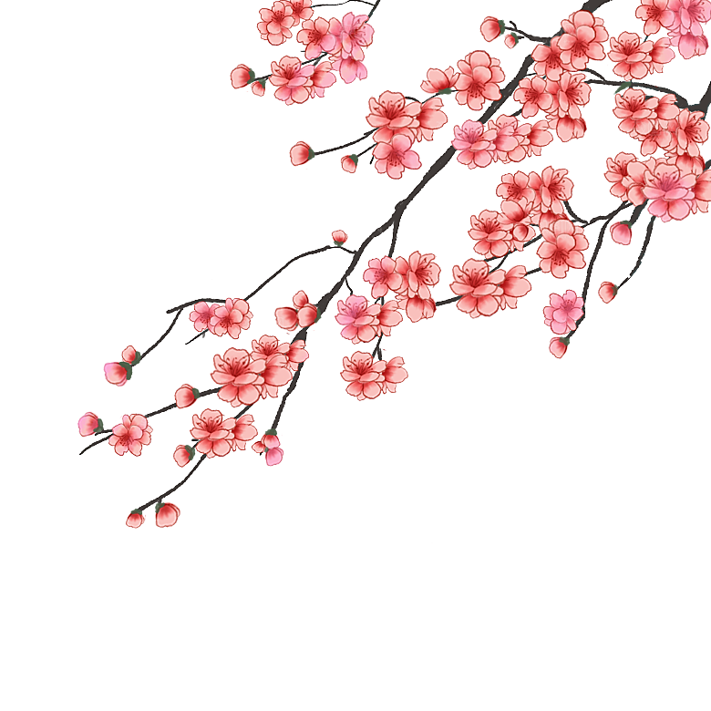 手绘粉红色樱花桃花梅花花朵PNG免抠