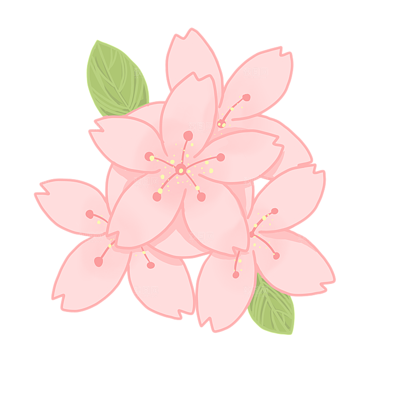 手绘粉红色樱花桃花梅花花朵PNG免抠