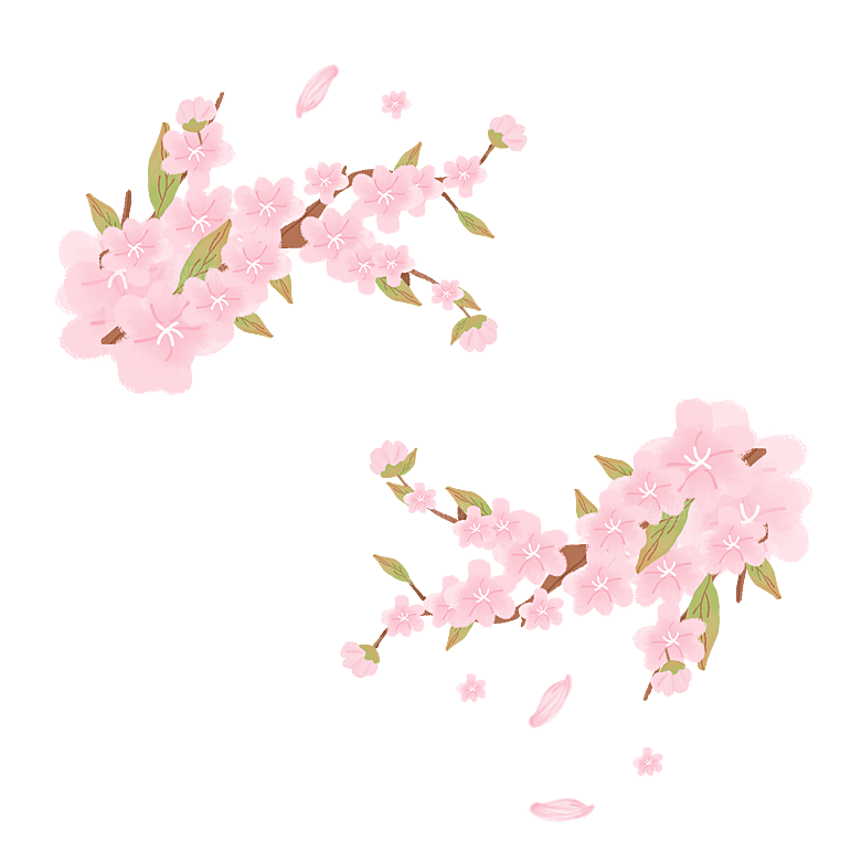 手绘粉红色樱花桃花梅花花朵PNG免抠