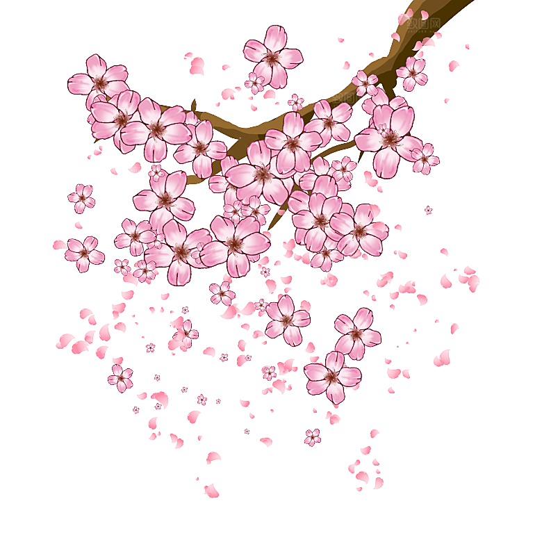 手绘粉红色樱花桃花梅花花朵PNG免抠素材