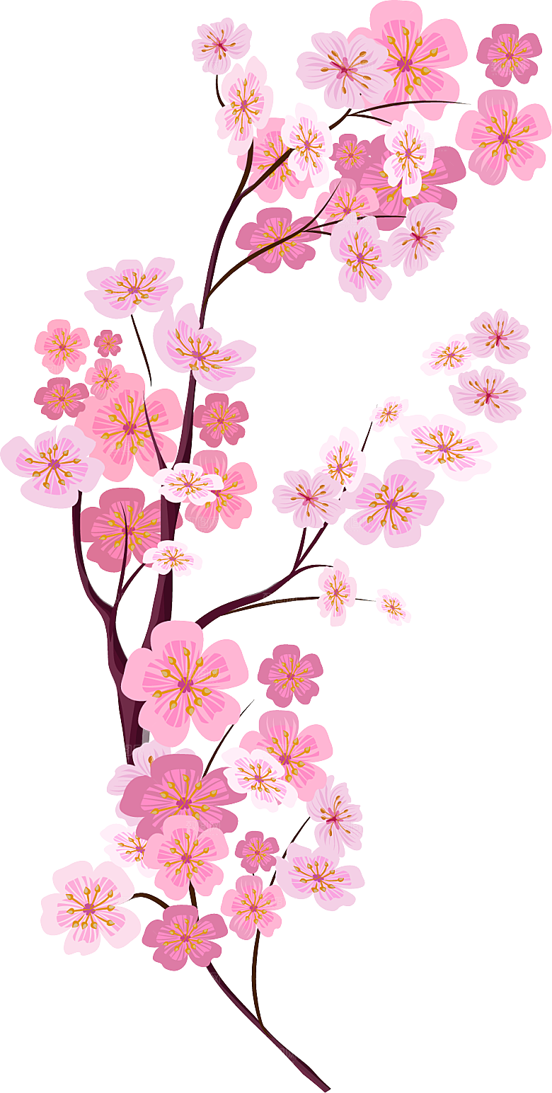手绘粉红色樱花桃花梅花花朵PNG免抠素材