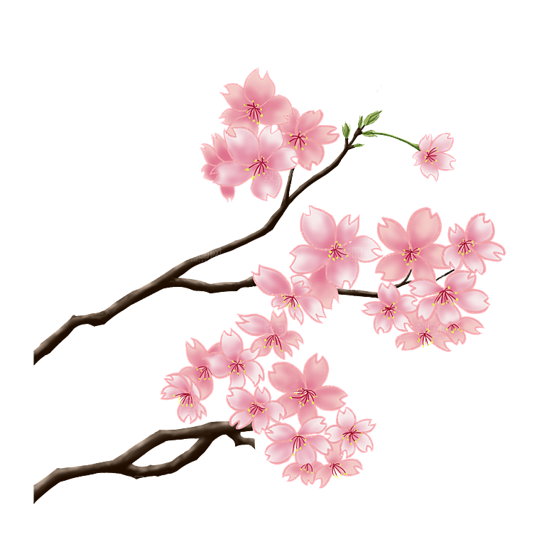 手绘粉红色樱花桃花梅花花朵PNG免抠素材