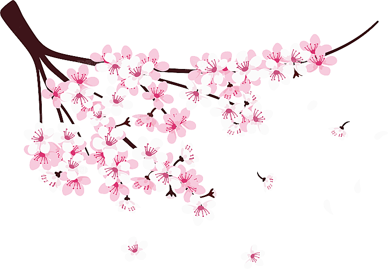 手绘粉红色樱花桃花梅花花朵PNG免抠