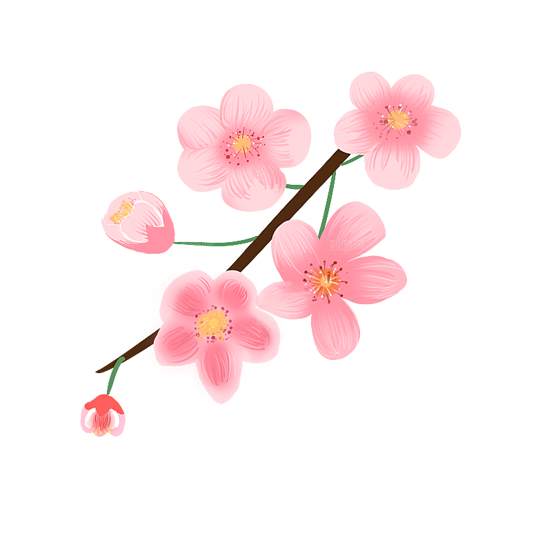 手绘粉红色樱花桃花梅花花朵PNG免抠