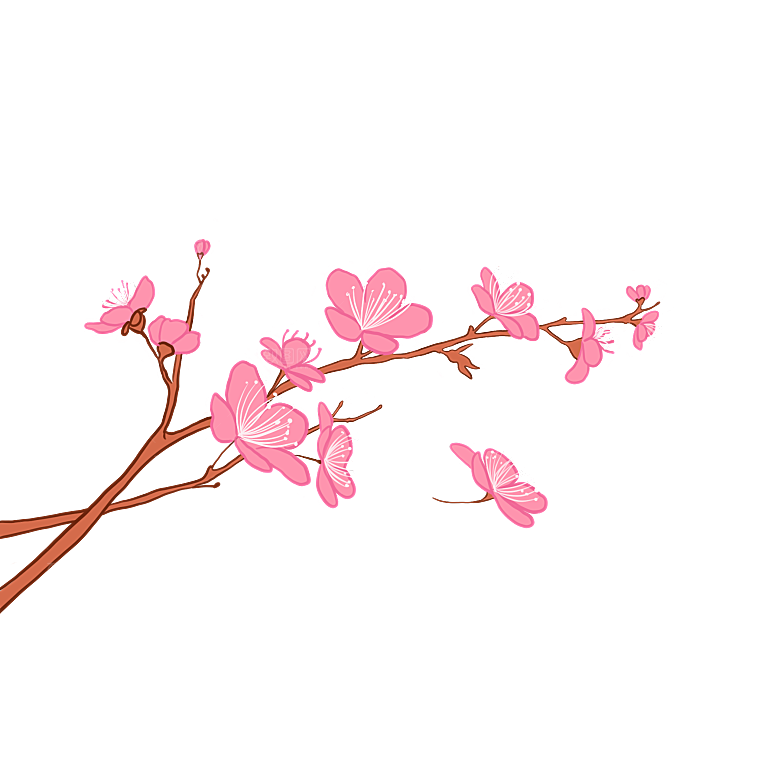手绘粉红色樱花桃花梅花花朵PNG免抠