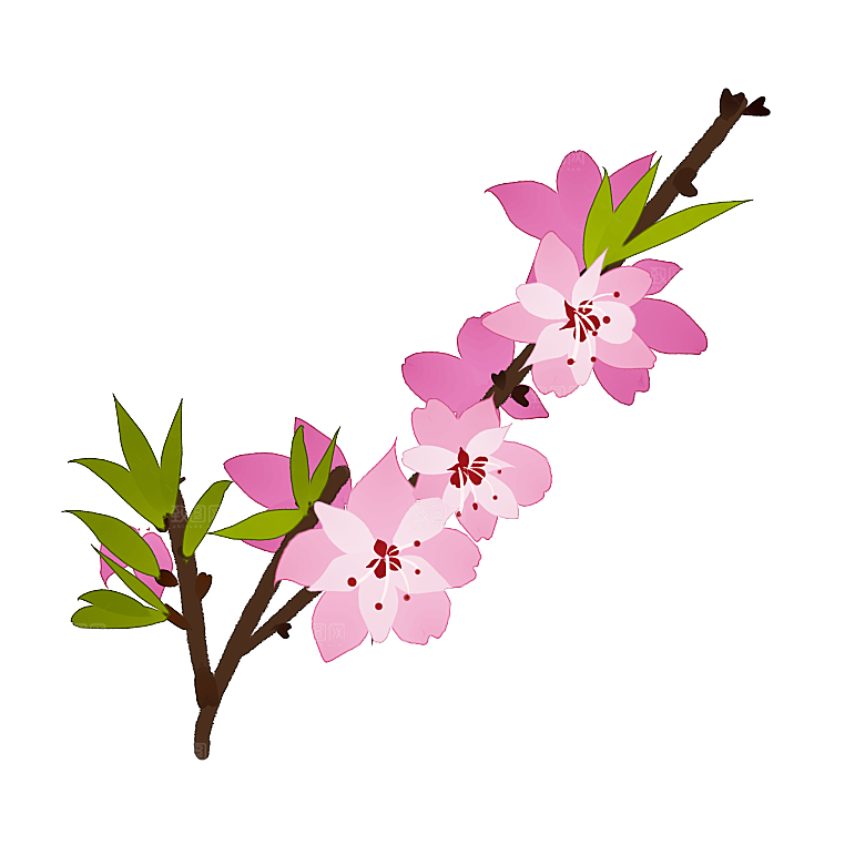 手绘粉红色樱花桃花梅花花朵PNG免抠