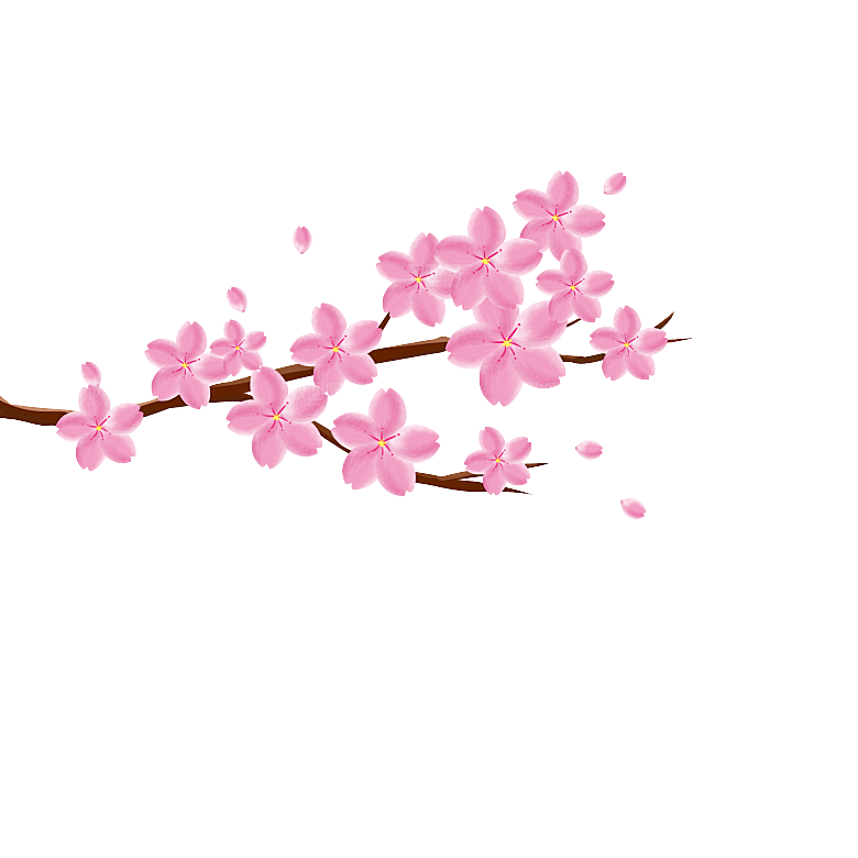 手绘粉红色樱花桃花梅花花朵PNG免抠素材