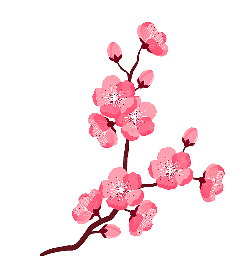 手绘粉红色樱花桃花梅花花朵PNG免抠素材