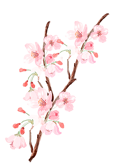 手绘粉红色樱花桃花梅花花朵PNG免抠素材