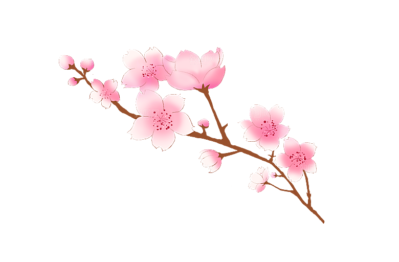 手绘粉红色樱花桃花梅花花朵PNG免抠素材
