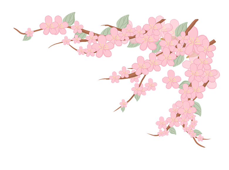 手绘粉红色樱花桃花梅花花朵PNG免抠素材