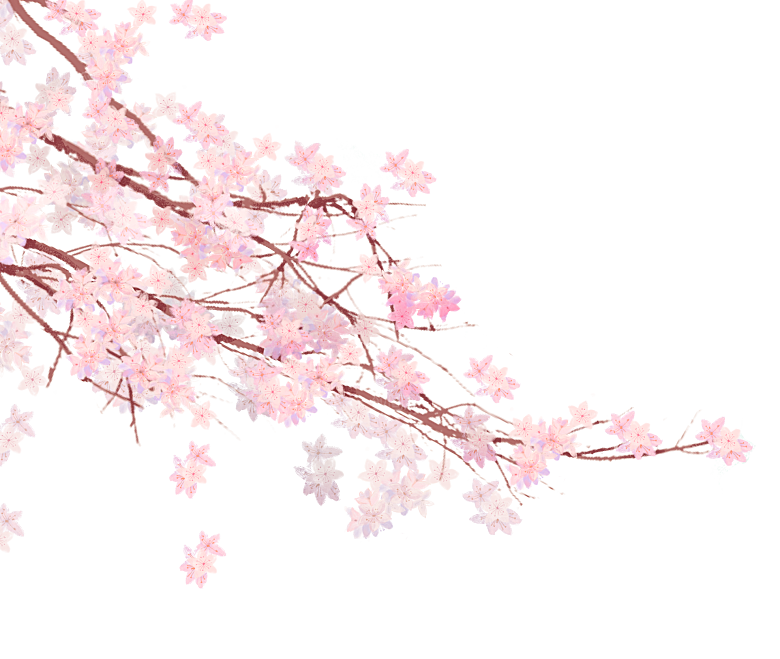 手绘粉红色樱花桃花梅花花朵PNG免抠素材