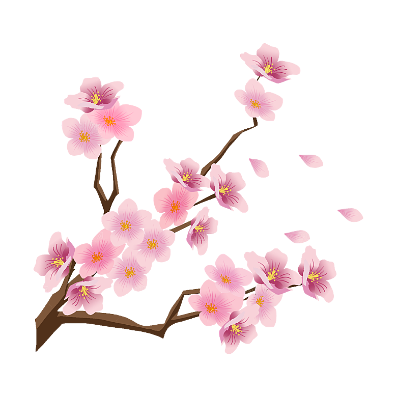 手绘粉红色樱花桃花梅花花朵PNG免抠