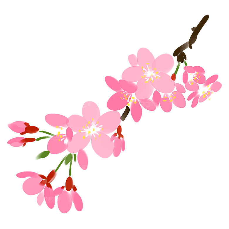 手绘粉红色樱花桃花梅花花朵PNG免抠