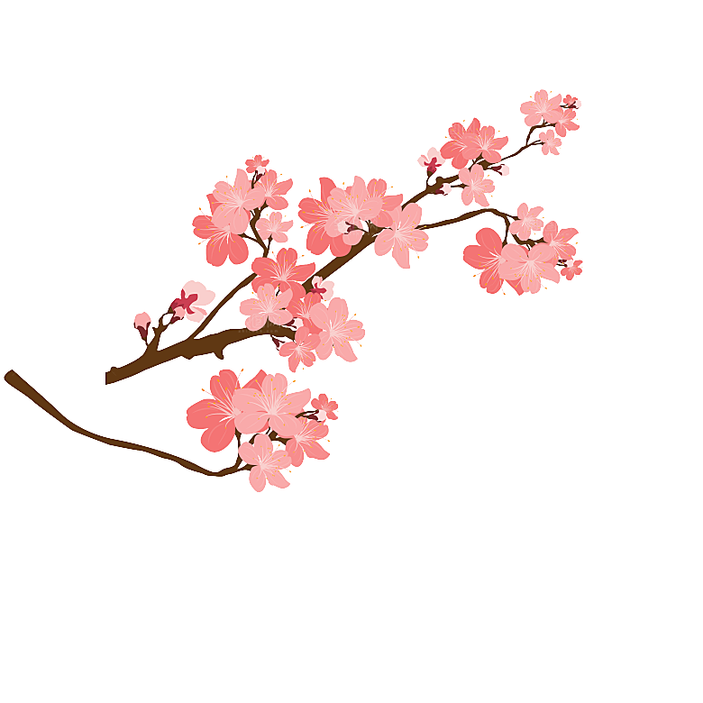 手绘粉红色樱花桃花梅花花朵PNG免抠