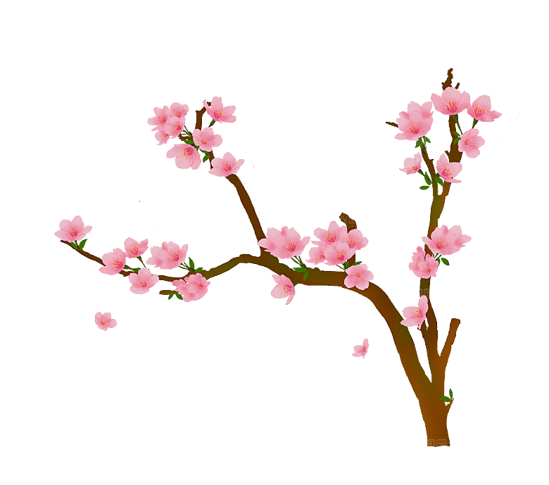 手绘粉红色樱花桃花梅花花朵PNG免抠