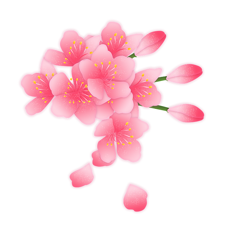 手绘粉红色樱花桃花梅花花朵PNG免抠