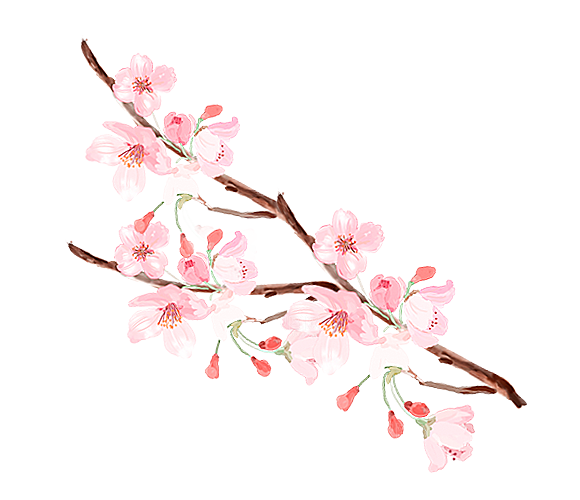 手绘粉红色樱花桃花梅花花朵PNG免抠