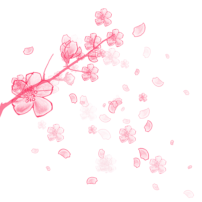 手绘粉红色樱花桃花梅花花朵PNG免抠