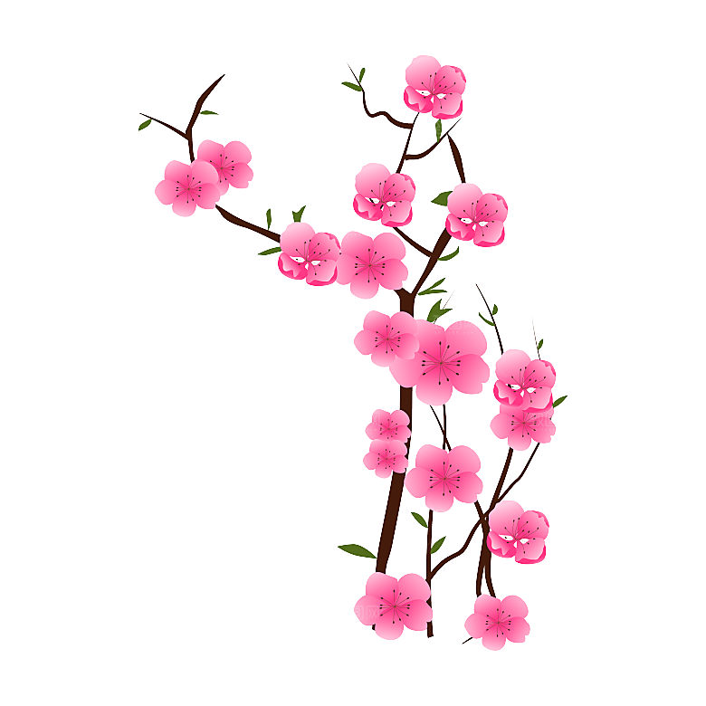手绘粉红色樱花桃花梅花花朵PNG免抠