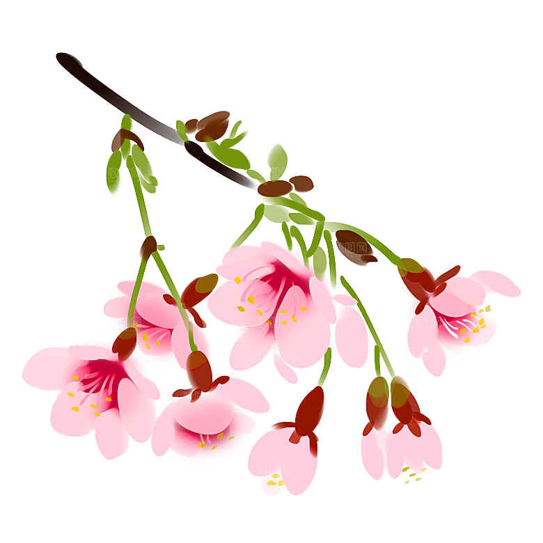 手绘粉红色樱花桃花梅花花朵PNG免抠素材