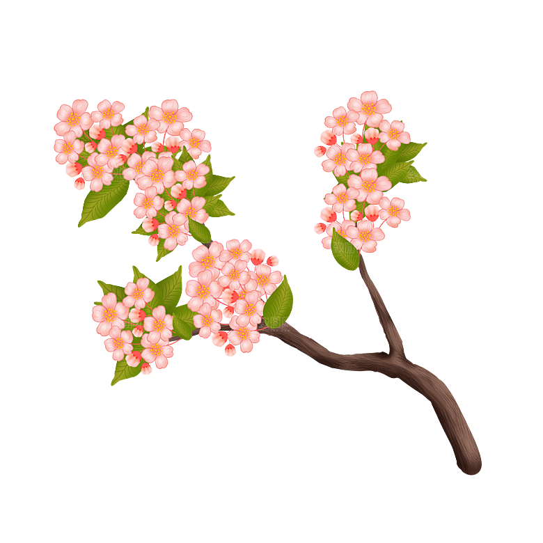 手绘粉红色樱花桃花梅花花朵PNG免抠素材