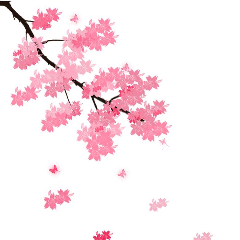 手绘粉红色樱花桃花梅花花朵PNG免抠素材