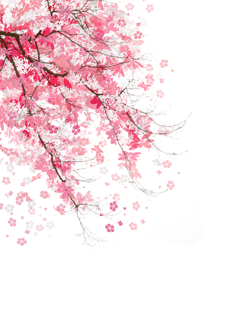 手绘粉红色樱花桃花梅花花朵PNG免抠